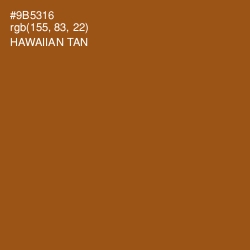 #9B5316 - Hawaiian Tan Color Image